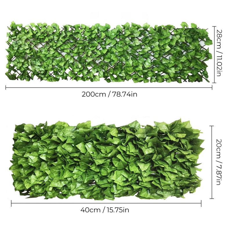 Vollständig ausgezogener Efeu-Sichtschutz als lange grüne Hecke, ideal für Garten, Balkon & Terrasse.