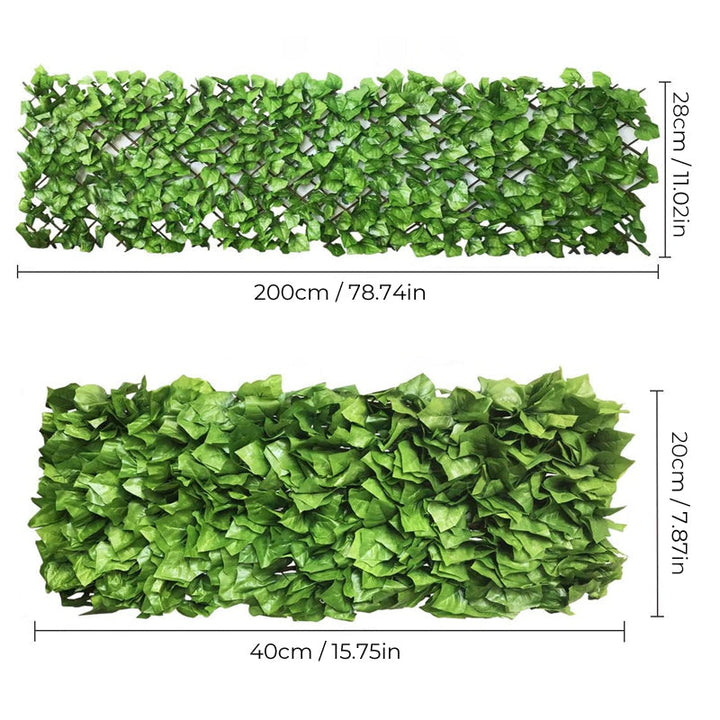 Vollständig ausgezogener Efeu-Sichtschutz als lange grüne Hecke, ideal für Garten, Balkon & Terrasse.