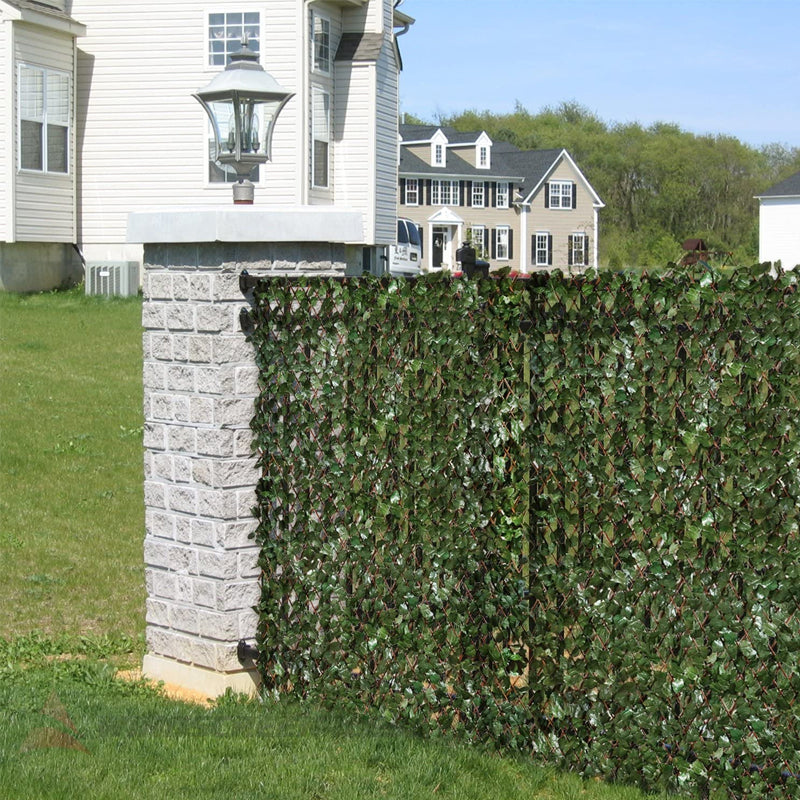 Flexibler Efeu-Sichtschutz für Garten, schafft natürliche Privatsphäre & grüne Wand. Ideal für Outdoor.