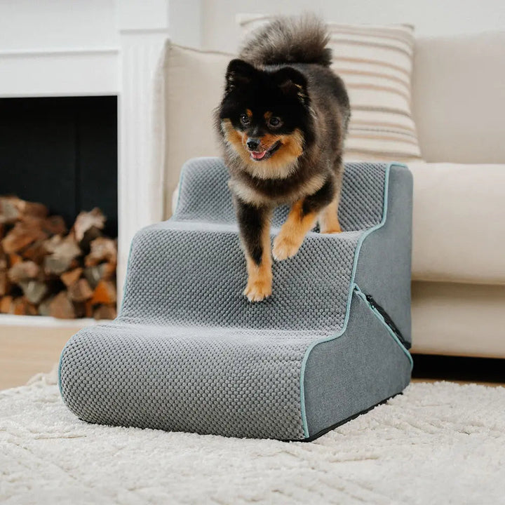 Khaki faltbare Hundetreppe & Hunderampe, multifunktional, gelenkschonend für alte Hunde, 2-in-1.