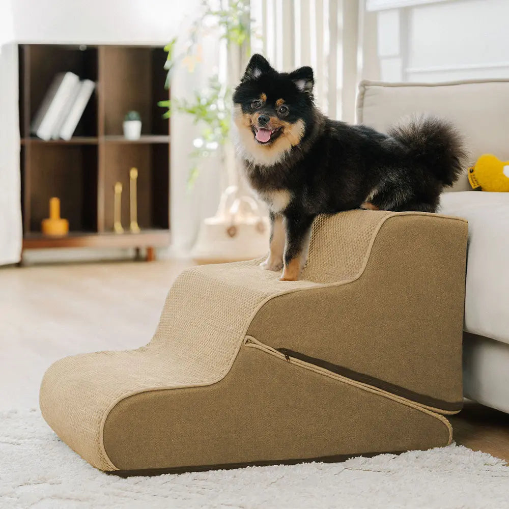 Sichere faltbare Hundetreppe mit Rampe, 2-in-1 Design, unterstützt Gelenke kleiner Hunde & Welpen.
