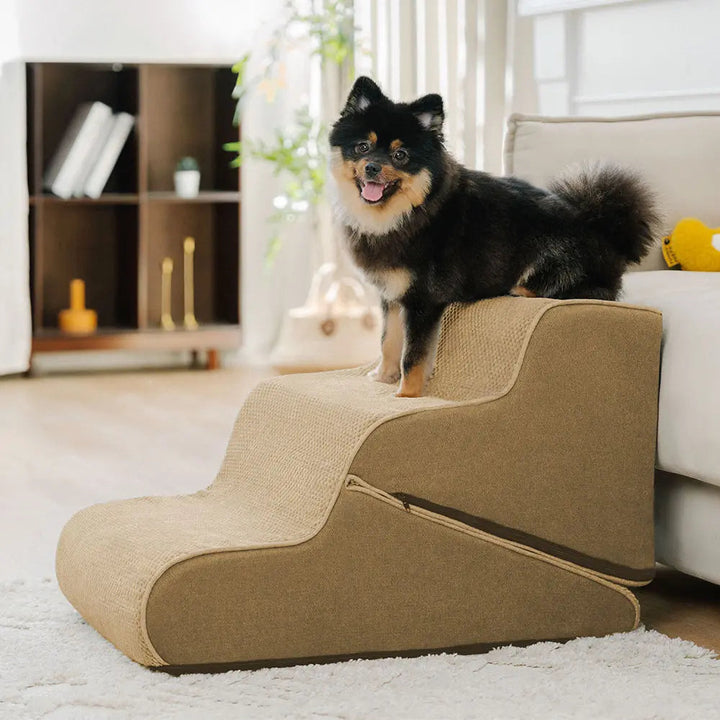 Sichere faltbare Hundetreppe mit Rampe, 2-in-1 Design, unterstützt Gelenke kleiner Hunde & Welpen.