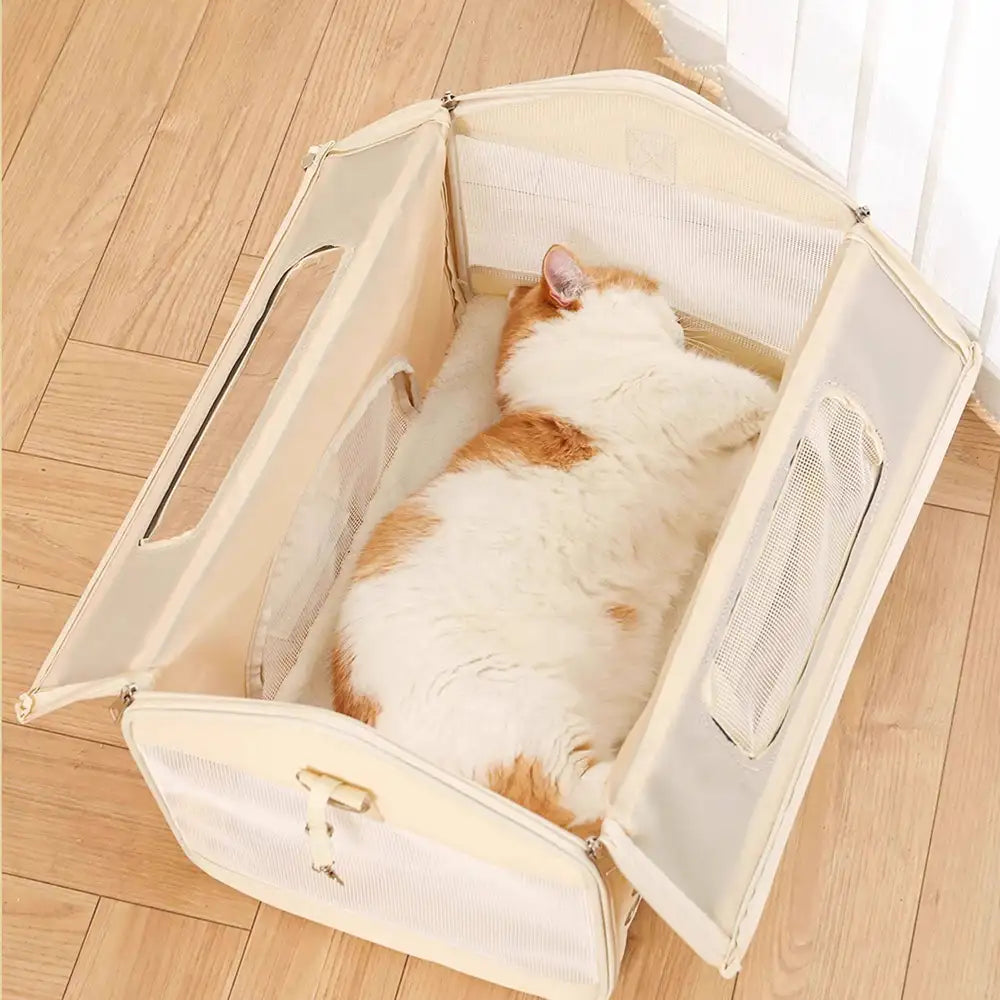 Komfortable, atmungsaktive Tiertransportbox, faltbar und leicht. Perfekt für den Transport von Katzen & Hunden.