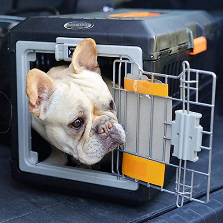 Sichere und bequeme PetVoyager Transportbox für kleine Hunde & Katzen, perfekt für komfortables Reisen.