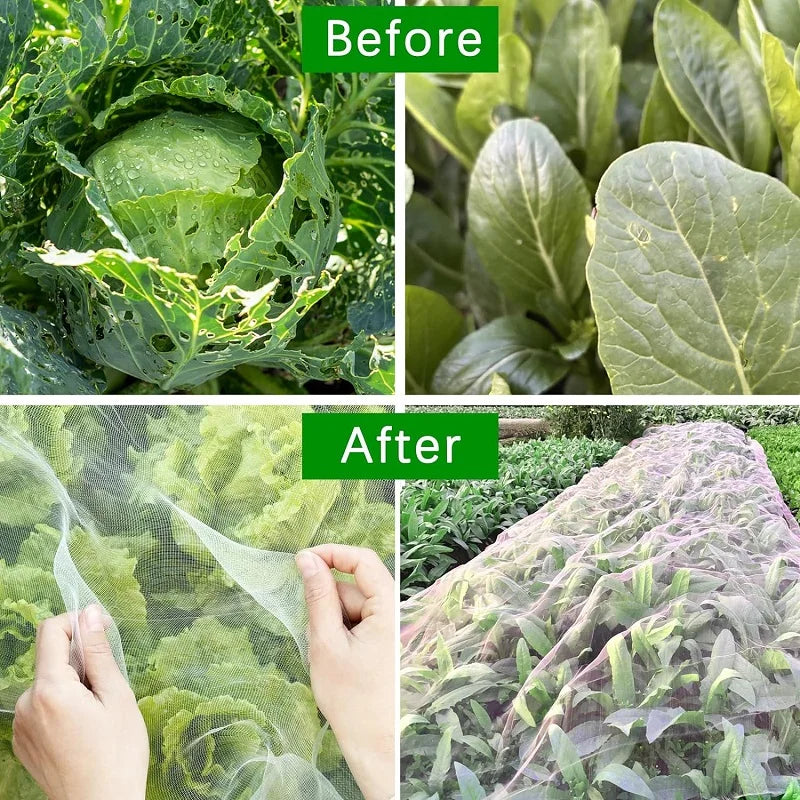 Engmaschiges Gemüseschutznetz über Hochbeet, schützt Gemüseanbau vor Schädlingen, Vögeln und Wetter; ideal für den Garten.