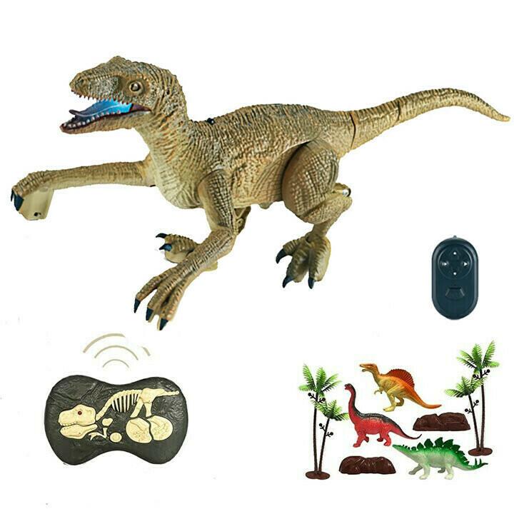 Kind spielt mit Fernsteuerung, bewegt den RC Velociraptor mit Soundeffekten realistisch.