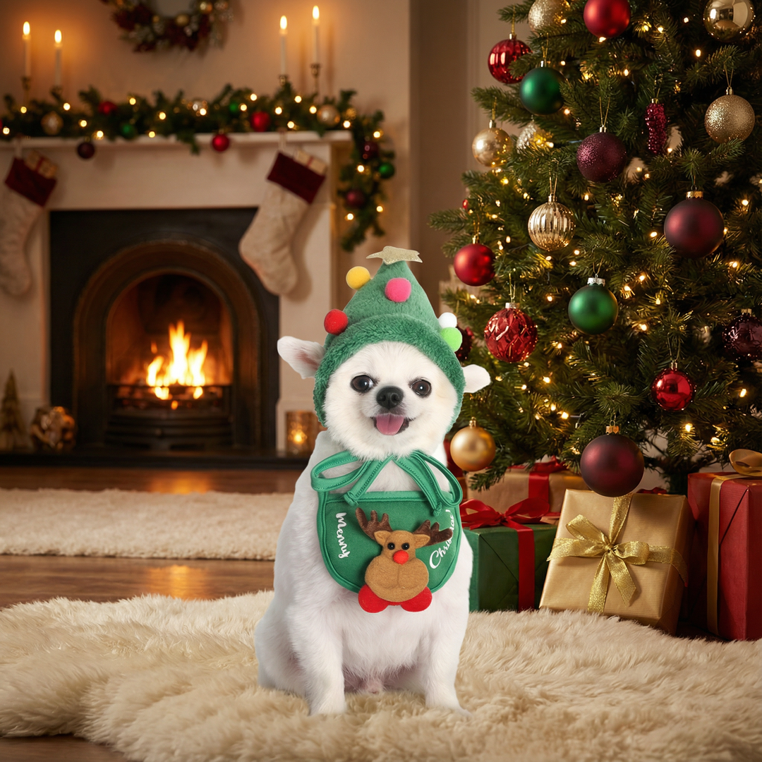 Festliches Hunde-Weihnachtsoutfit, personalisiert für zauberhafte Momente.