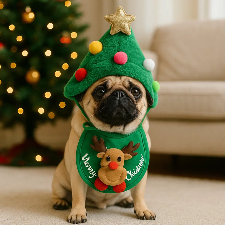 Zwei Hunde in festlichen Weihnachts-Outfits, personalisierte Rentier- und Weihnachtsmann-Kostüme.