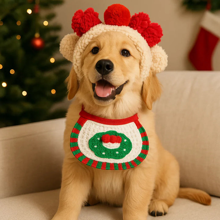 Nahaufnahme des personalisierten Hunde-Weihnachtsoutfits, hochwertige Stickerei.