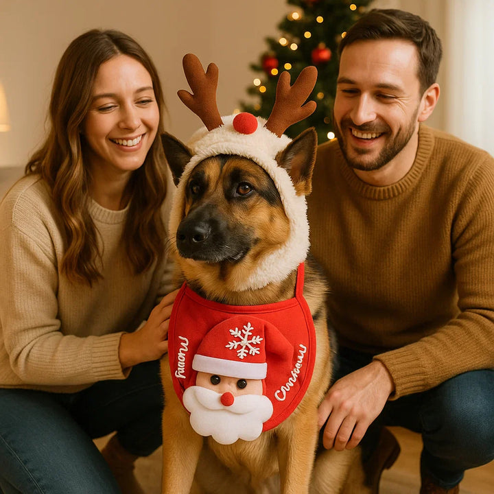 Weiches, bequemes festliches Hundekostüm, ideal für Weihnachten und kalte Wintertage.