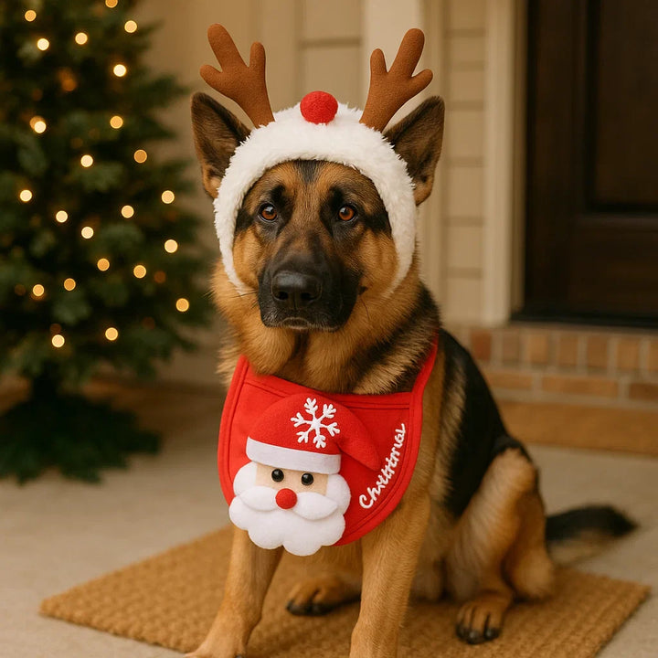 Großer Hund im schicken Hirsch-Weihnachtsoutfit, personalisiert für winterliche Feiern.