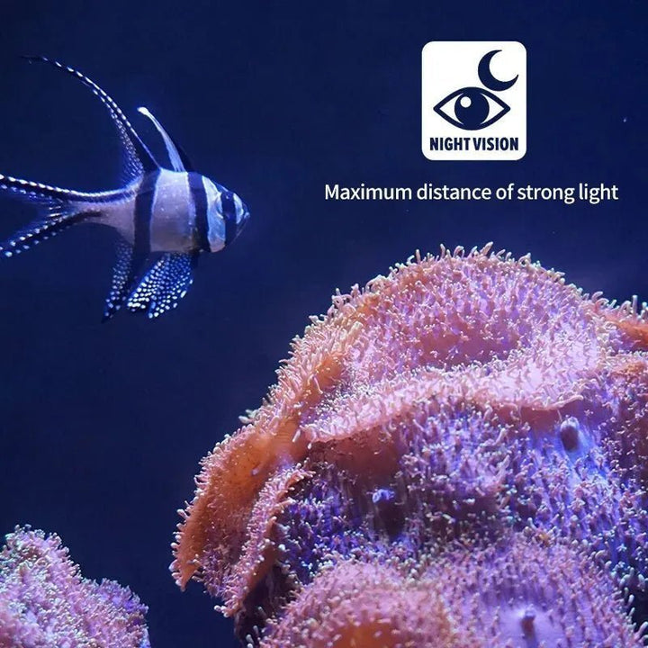 FISHVISION Angelkamera mit Nachtsicht für klares Bild beim Eisangeln und Fischfindung.