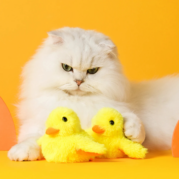 Flatternde Ente DuckDash™: Interaktives Katzenspielzeug fördert den Jagdinstinkt und Bewegung.