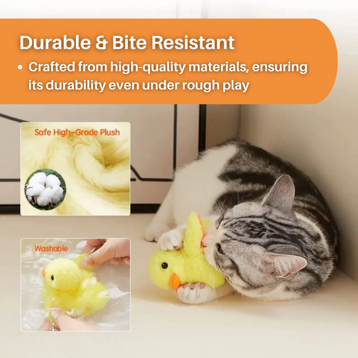Flatternde Ente DuckDash™: Interaktives Spielzeug, das Ihre Katze zum Jagen und Bewegen anregt.