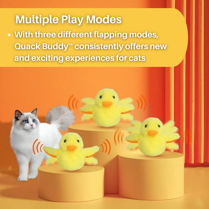 Interaktives Katzenspielzeug: DuckDash™ flatternde Ente für Jagdinstinkt, Spiel und viel Bewegung.