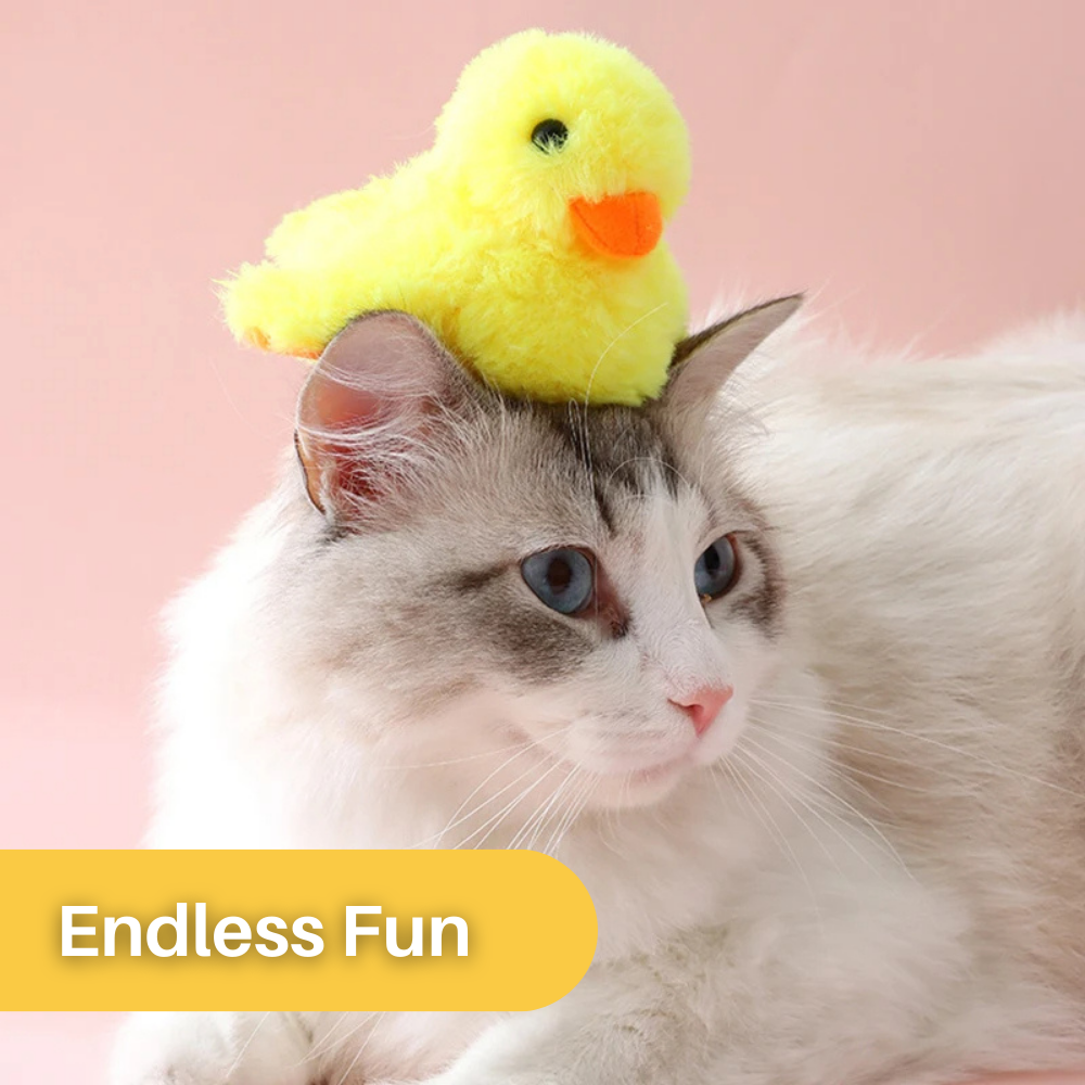 Katzenspielzeug Ente DuckDash™: Flatterndes Spielzeug weckt den Jagdinstinkt und fördert Aktivität.