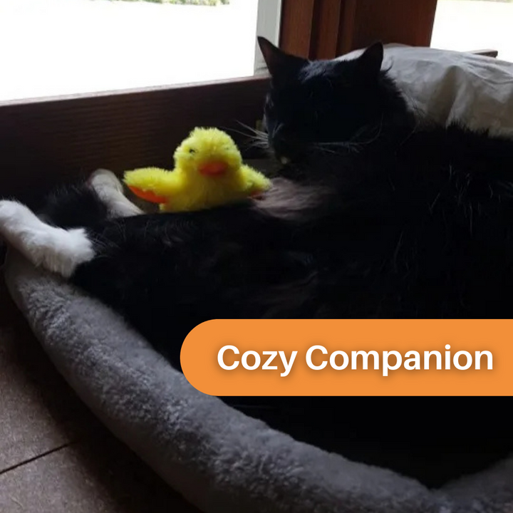 Interaktives Haustierspielzeug: DuckDash™ flatternde Ente für Spiel und Bewegung Ihrer Katze.