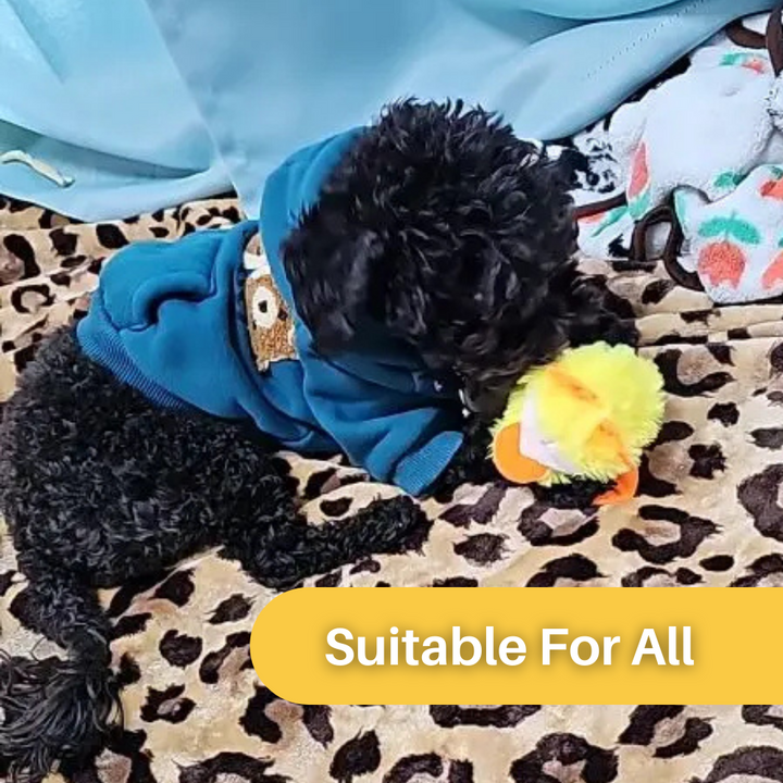 Flatternde Ente DuckDash™: Spielzeug für Katzen, das den natürlichen Jagdinstinkt stimuliert.