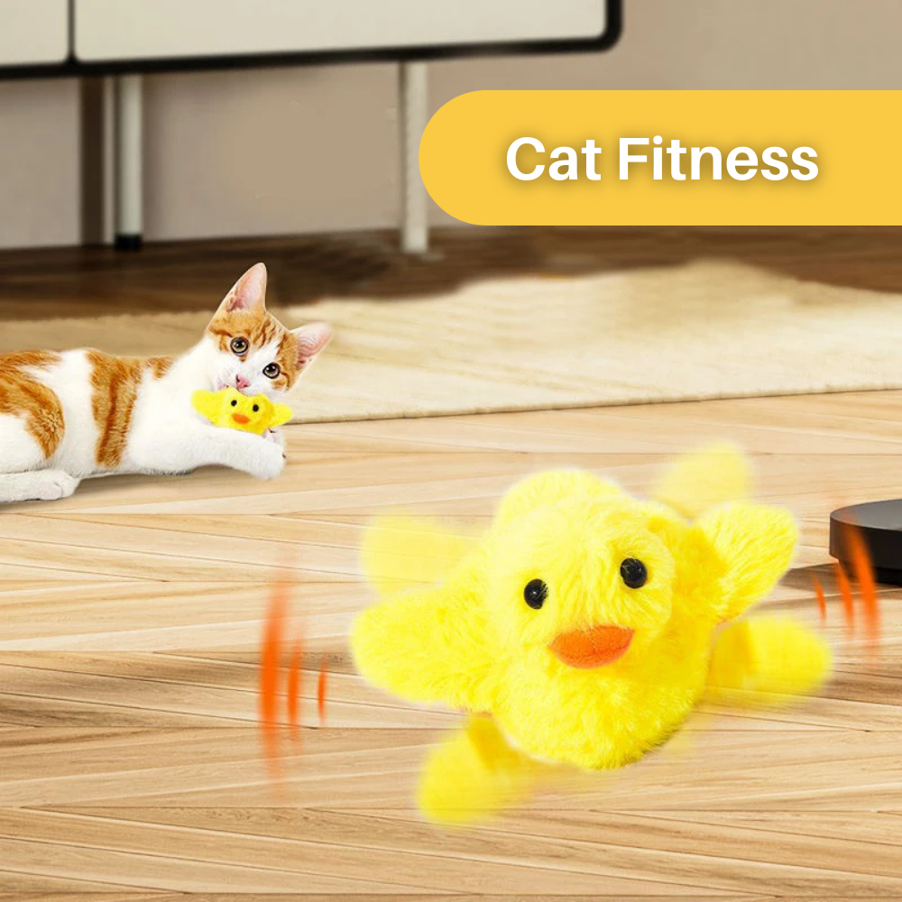 Flatternde Ente für Katzen: DuckDash™ Spielzeug zur Stimulierung des Jagdinstinkts und der Aktivität.