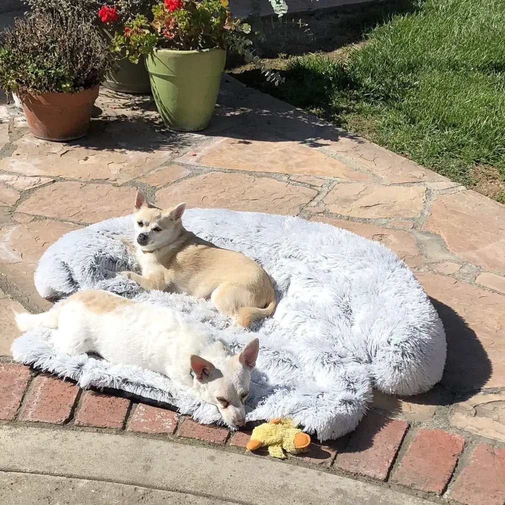 Schütze dein Sofa mit der waschbaren PlushNest Plüschdecke. Gemütliches Hundebett & Katzenbett.