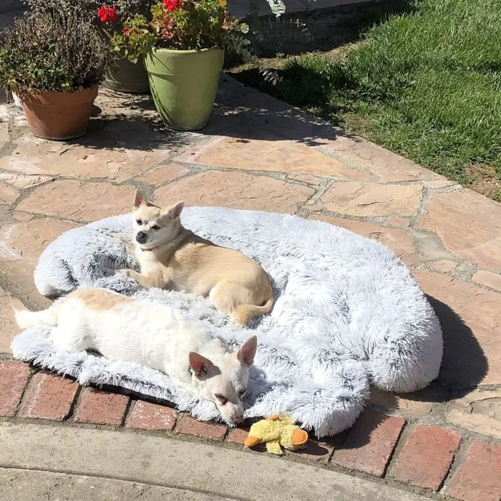 Schütze dein Sofa mit der waschbaren PlushNest Plüschdecke. Gemütliches Hundebett & Katzenbett.