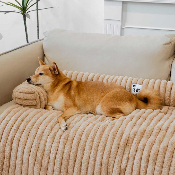 Tierfreundlicher Möbelschutz: Flauschiger Hundesofabezug in Beige, bequem & leicht zu reinigen.
