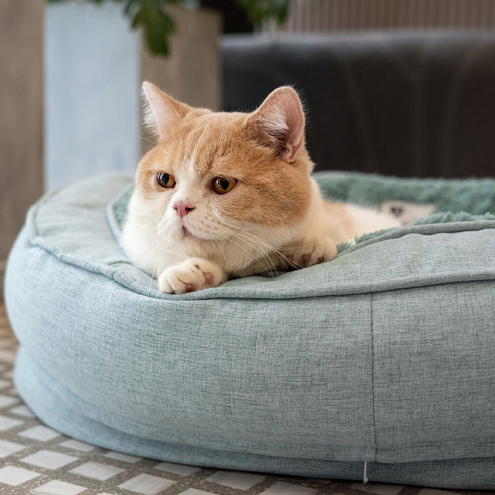 Robustes Donut Hundebett, orthopädisch und kuschelig, mit rutschfester Unterseite.