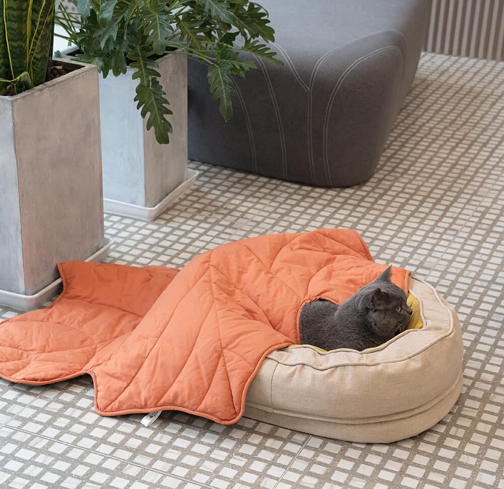 Waschbares orthopädisches Hundebett Donut, weich und hautfreundlich für Haustiere.