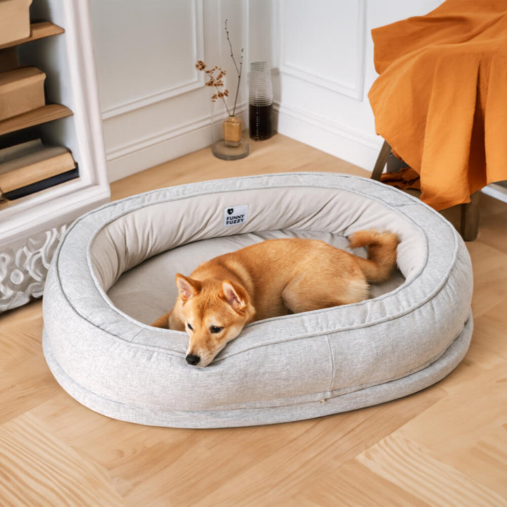 Gemütlicher Donut-Schlafplatz für Hunde, orthopädisch & flauschig, hoher Rand.