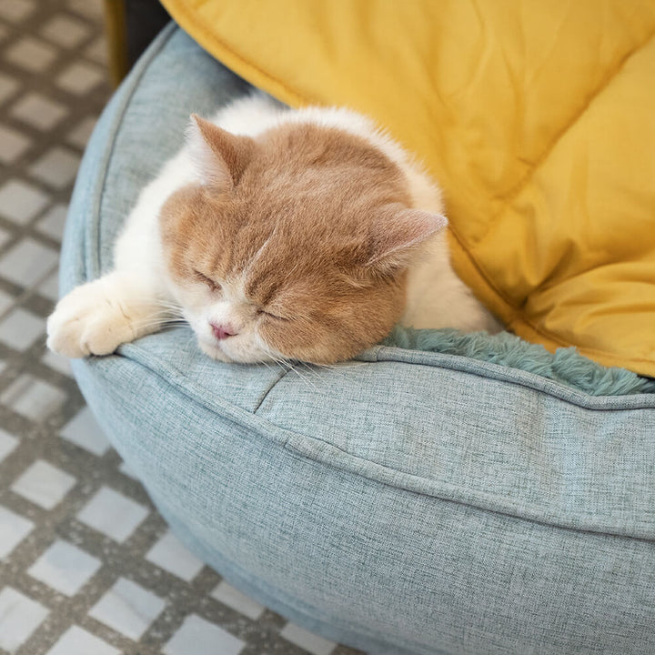 Orthopädisches Flausch-Hundebett, runde Donutform, ideal für Hunde & Welpen.