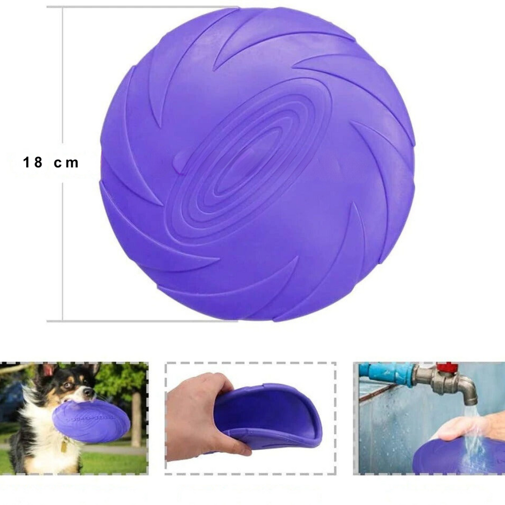 Hund fängt flexibles FlexiFling Hundefrisbee beim Apportieren im Park. Robustes Outdoor-Spielzeug für aktive Hunde.