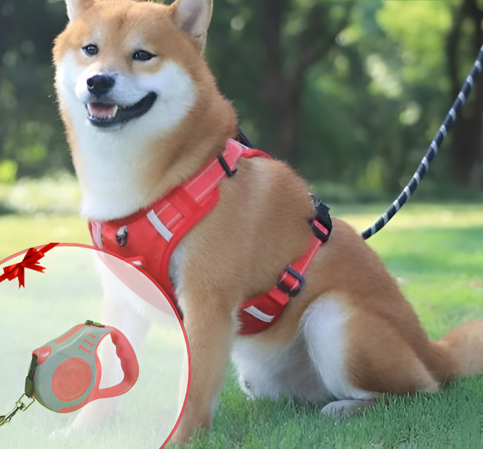 Nahaufnahme des verstellbaren FlexiFit Anti-Ziehgeschirrs mit stabilen Verschlüssen für sicheren Halt am Hund.