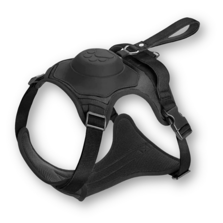 Innovatives FlexiLead Hundegeschirr mit ausziehbarer Leine, perfekt für Outdoor-Abenteuer & Haustier-Sicherheit.
