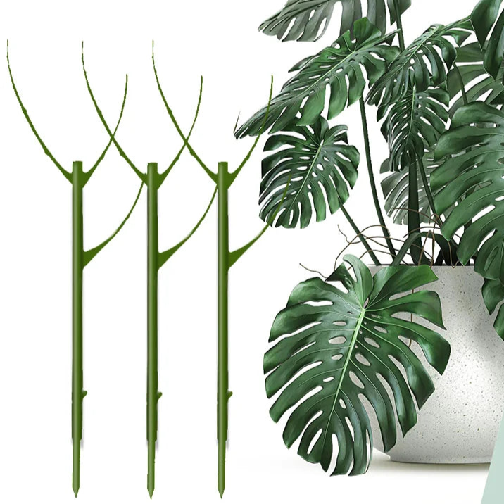 Floravio Pflanzenstütze 3er-Set, stapelbar, für Zimmerpflanzen & Gartenpflanzen im Natur-Look.