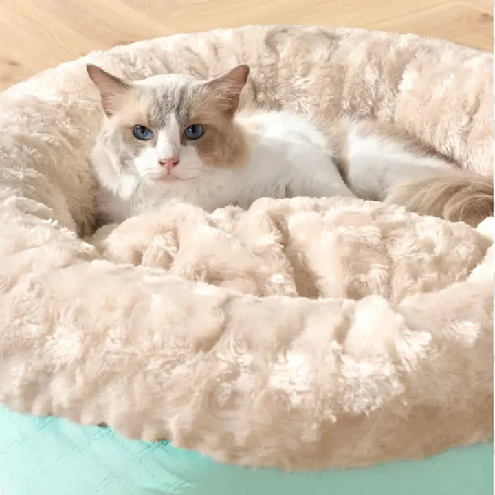 Warmes Donut Kuschelbett für Haustiere, mit flauschigem Kunstpelzbezug. Waschbar und sehr weich.
