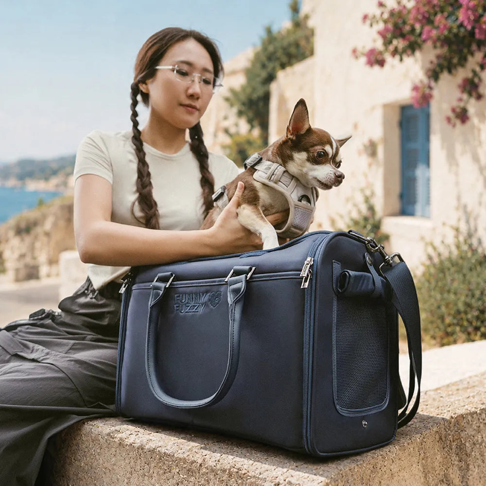 Atmungsaktive Hundetasche für Reisen, weich und flugzeugtauglich, sorgt für Wohlbefinden unterwegs.