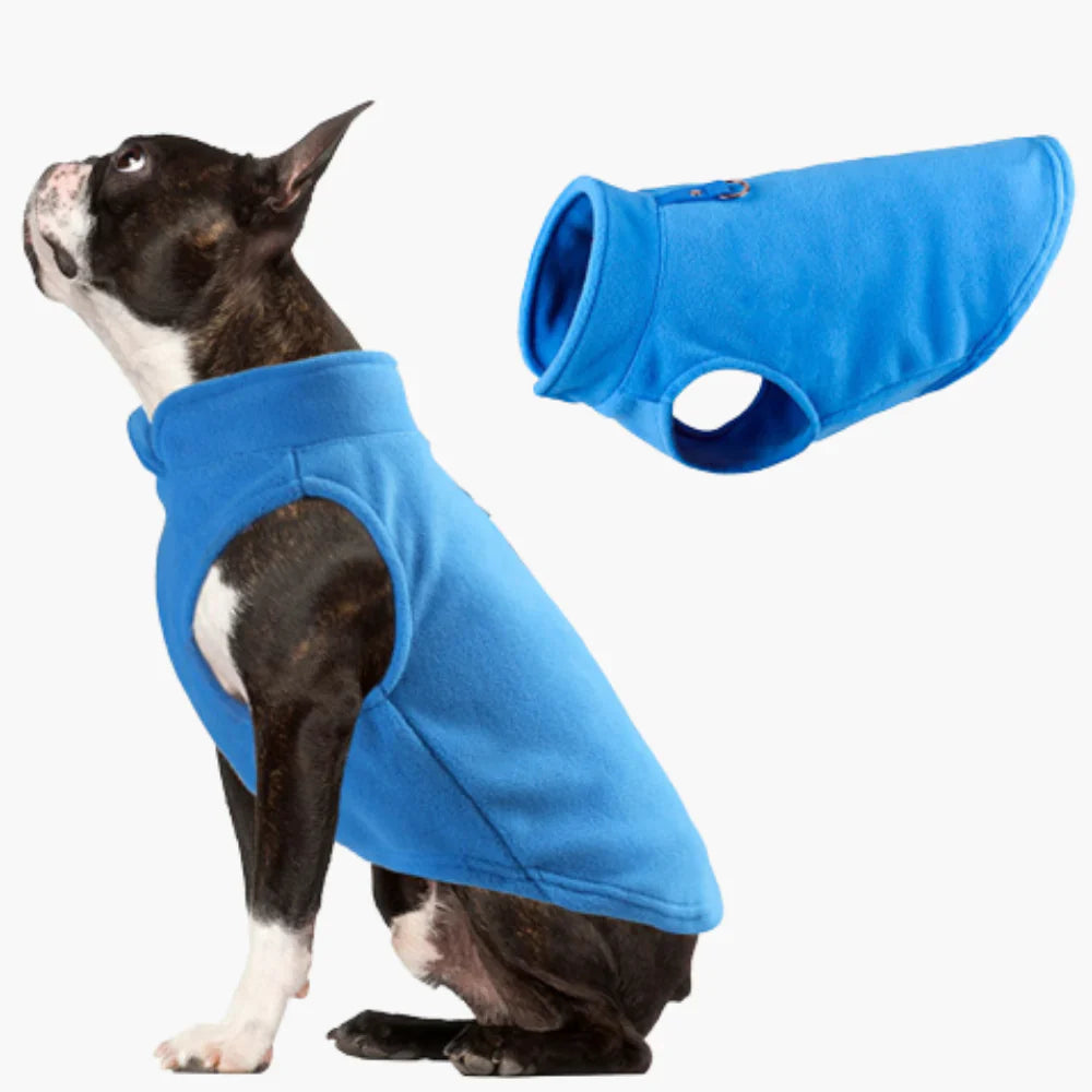 Ganzjahres Hundejacke für optimalen Schutz & Komfort. Robuster Wetterschutz für Ihren Vierbeiner outdoor.