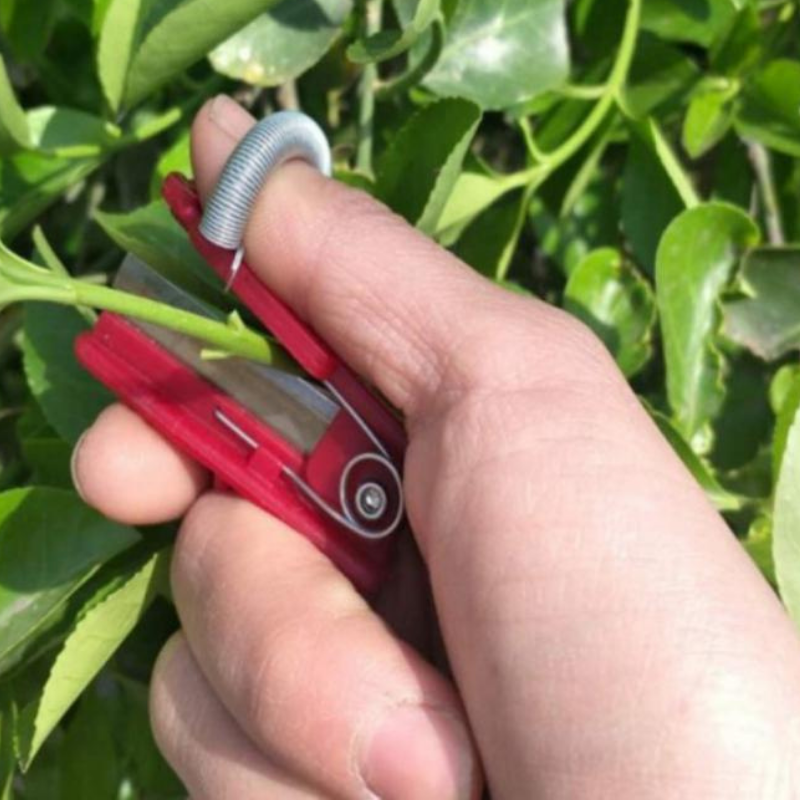 Robuster Obstpflücker mit Edelstahlkopf, ideal für Hobbygärtner zur effizienten und schonenden Fruchternte.