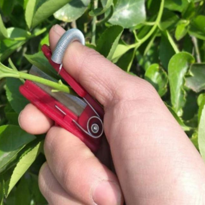 Robuster Obstpflücker mit Edelstahlkopf, ideal für Hobbygärtner zur effizienten und schonenden Fruchternte.