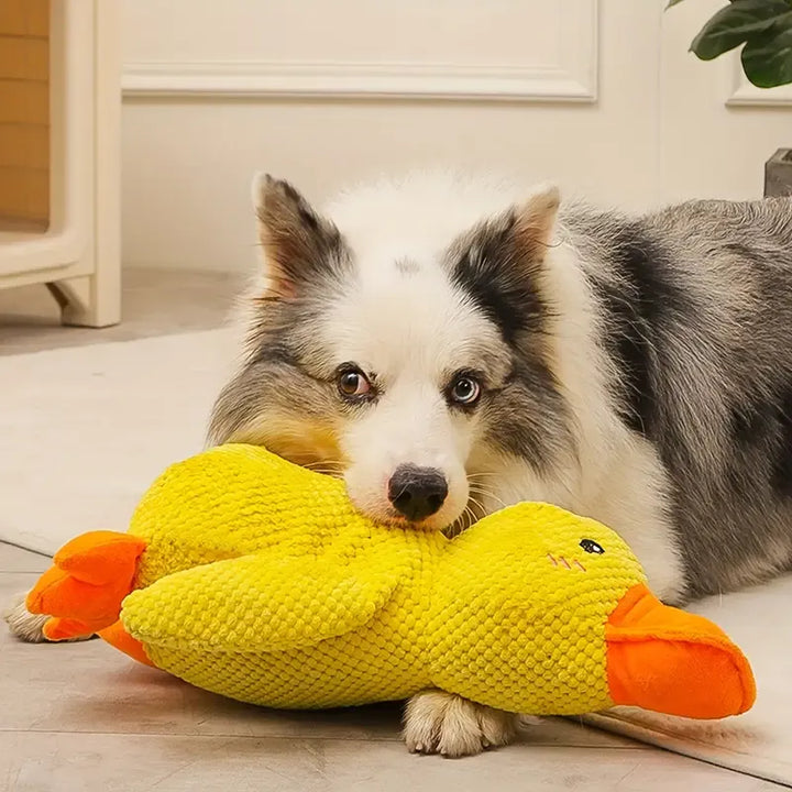 Plüsch Hundespielzeug Ente, robust und interaktiv, mit Quietscher zur Zahnreinigung. Ideal für Welpen.