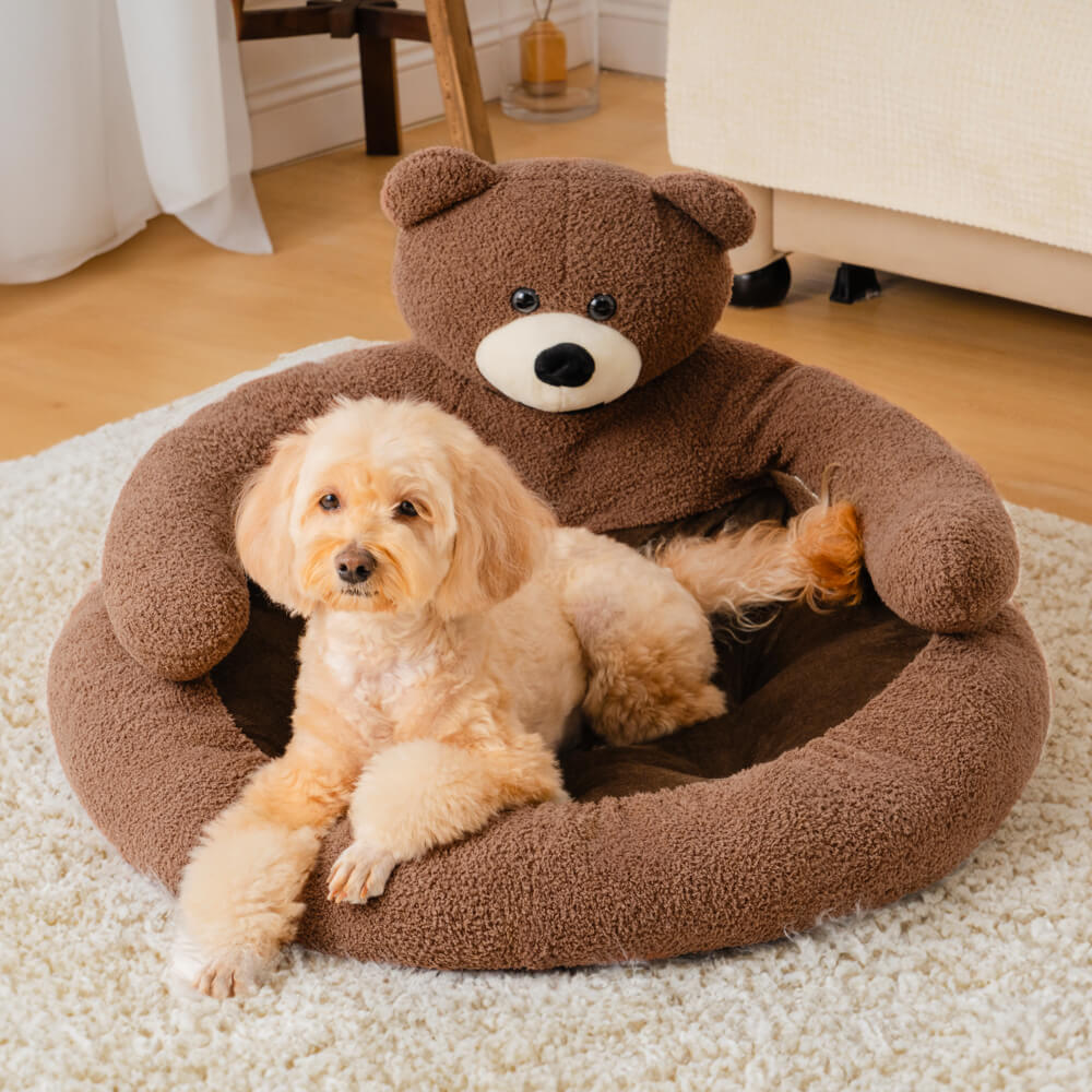 Süßes Teddybär-Katzenbett, weich und gemütlich, abnehmbar & waschbar, für kleine Hunde und Kätzchen.