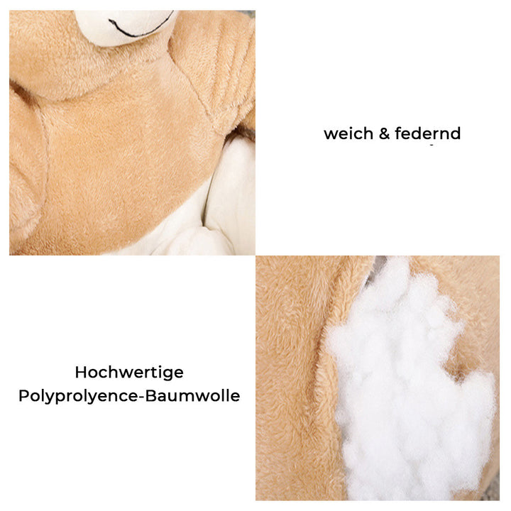 Komfortables Teddybär-Kuschelbett für Katzen & kleine Hunde, abnehmbar, waschbar, ein weicher Traum.