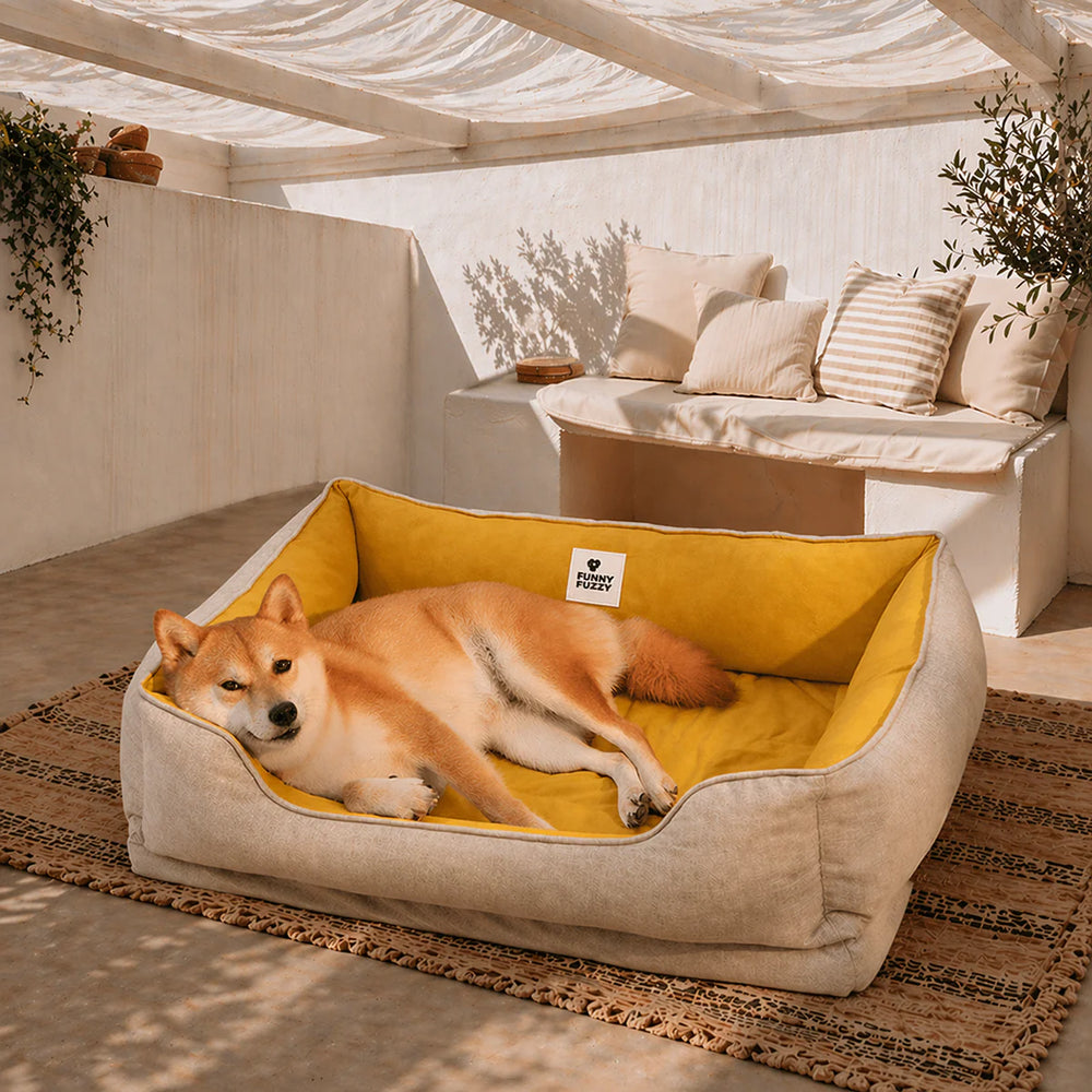 Waschbares Outdoor Haustierbett, quadratisch, bietet Geborgenheit für Hunde im Freien.