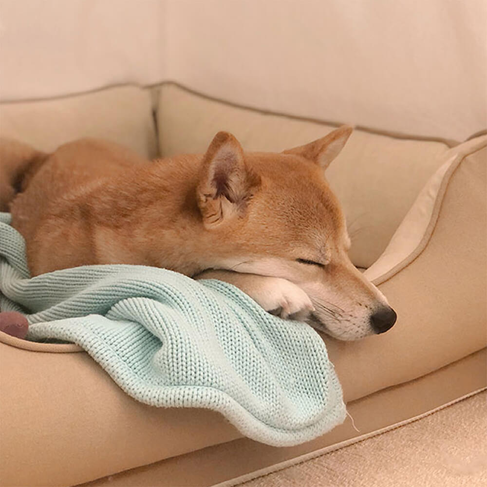 Gemütliches Outdoor Hundebett mit hohem Rand für Geborgenheit und Ruhe, weich gepolstert.