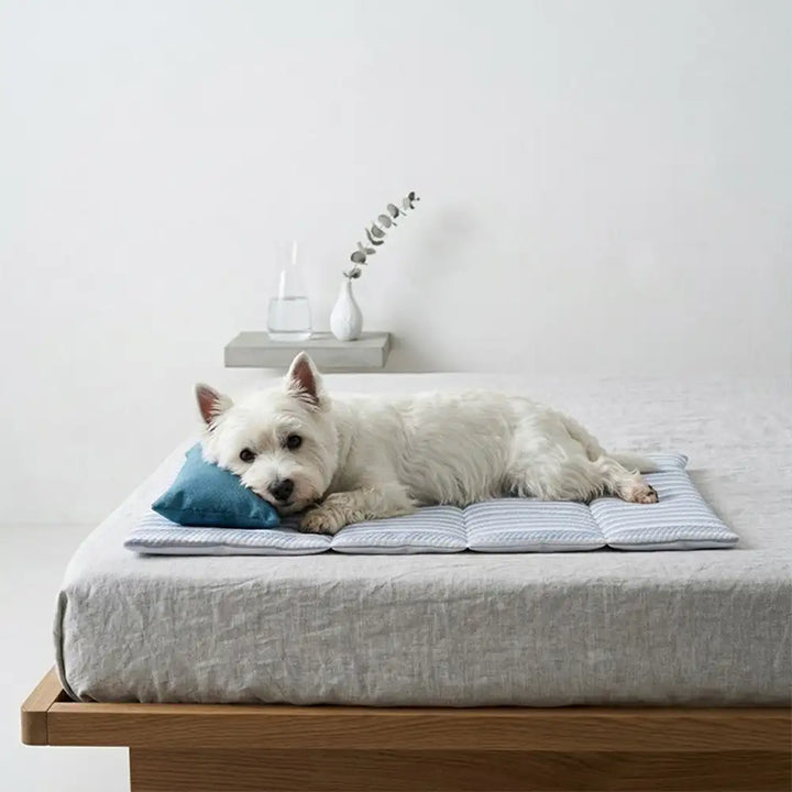 Weiches Kissen auf gestreifter Kühl-Hundematte. Ergonomischer Komfort für das Haustier im Sommer.