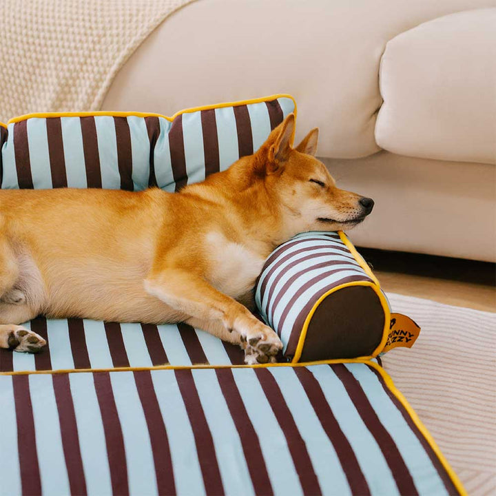 Faltbares Hundebett, gestreiftes Design, ideal für Zuhause und Reisen. Maximale Gemütlichkeit.
