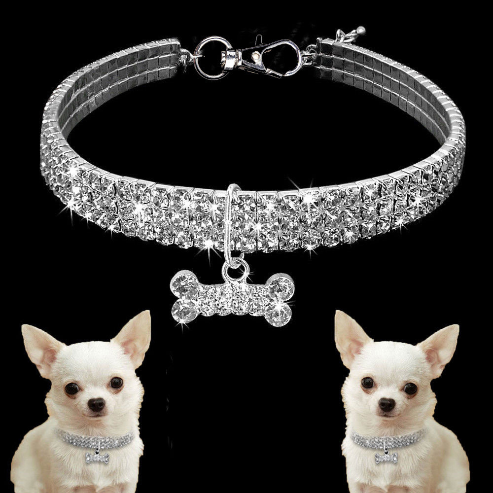 Funkelndes Katzenhalsband mit Strass-Verzierung, ideal für kleine Katzen, die Tiermode lieben. Bling-Effekt garantiert.