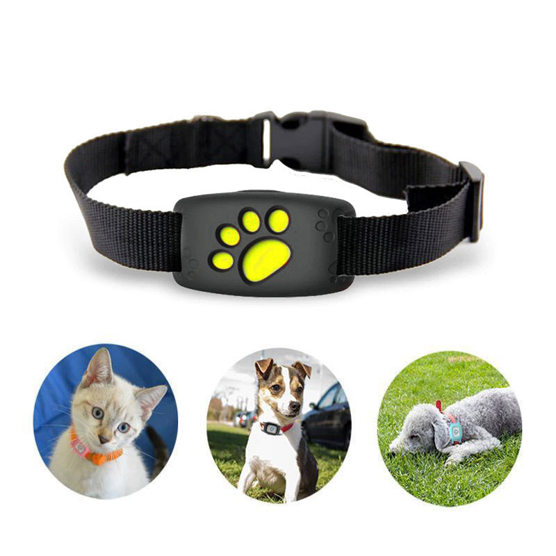 Kompaktes GPS Katzenhalsband für zuverlässige Haustiersicherheit. Echtzeit-Tracker in Rosé mit Geofence-Funktion.