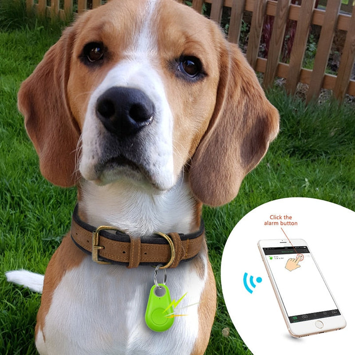 GPS-Tracker für Haustiere am Halsband, sichert Hund und Katze, Anti-Verlust-Funktion für Tierortung.