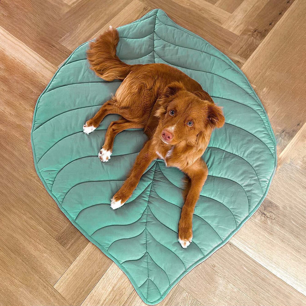 Waschbare Hundedecke Blattform, langlebig und sehr komfortabel für den täglichen Gebrauch.
